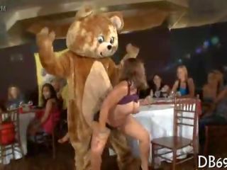 Dancing bear facial