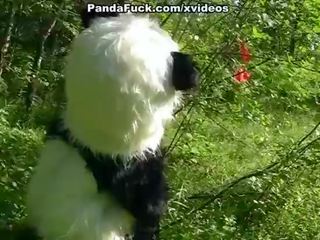 Maz sarkans jāšana kapuce jāšanās ar panda uz the wood