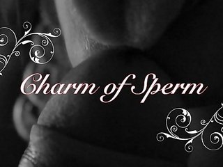 Charm na spermie - umenie felácie